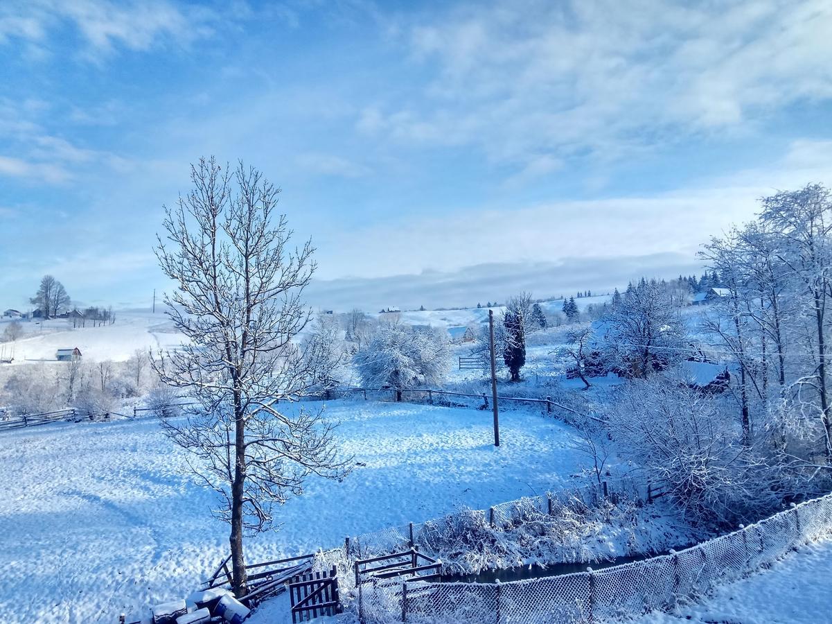 Дзвін Карпат Villa Mezőhát Kültér fotó